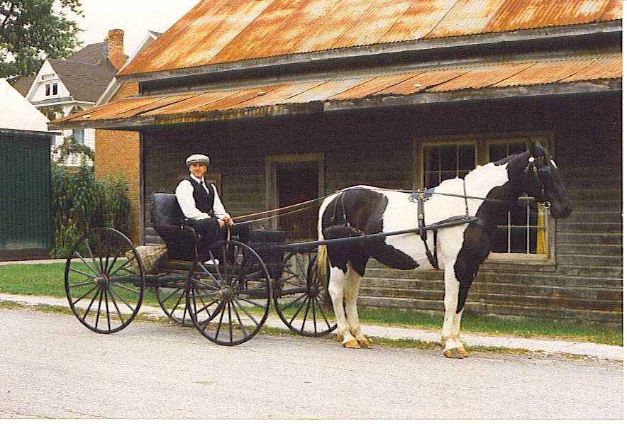 Johnny on buggie