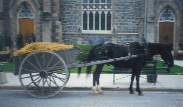 small hay cart