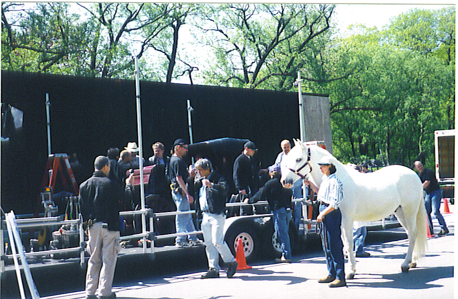 white horse in high park